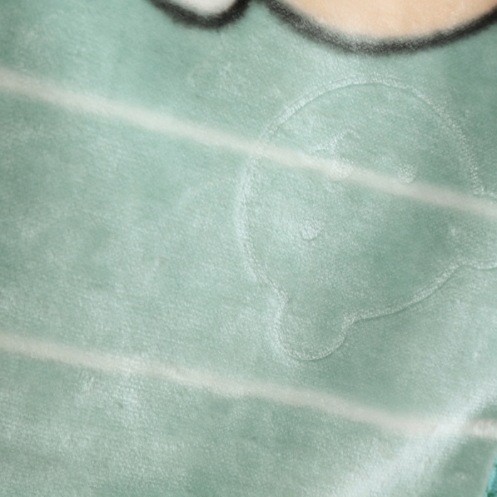 91家纺网 家纺一手货源 找家纺 云毯儿童毯婴儿宝宝毯空调毯午睡毯幼儿园双层毛毯萌鸡小熊-淡绿