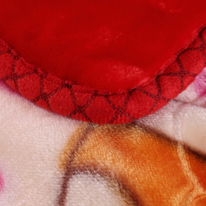 91家纺网 家纺一手货源 找家纺 云毯儿童毯婴儿宝宝毯空调毯午睡毯幼儿园双层毛毯蘑菇小熊-大红