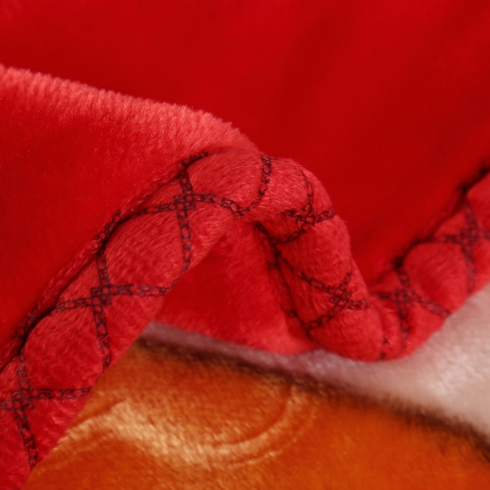 91家纺网 家纺一手货源 找家纺 云毯儿童毯婴儿宝宝毯空调毯午睡毯幼儿园双层毛毯蘑菇小熊-大红