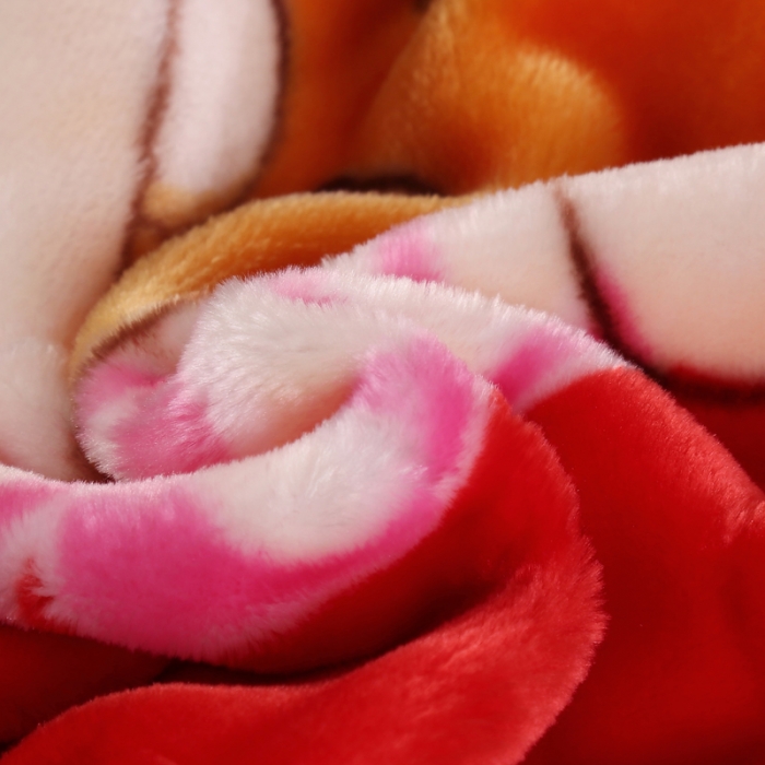 91家纺网 家纺一手货源 找家纺 云毯儿童毯婴儿宝宝毯空调毯午睡毯幼儿园双层毛毯蘑菇小熊-大红