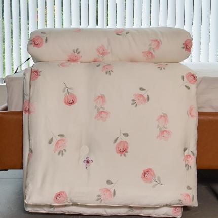 91家纺网 家纺一手货源 找家纺 （总）朵美 2022新款雅棉软芯印花春秋被