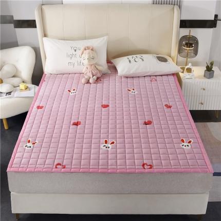 91家纺网 家纺一手货源 找家纺 (总)东宇 2022新款直播供货A类母婴级高克重宝宝绒床垫