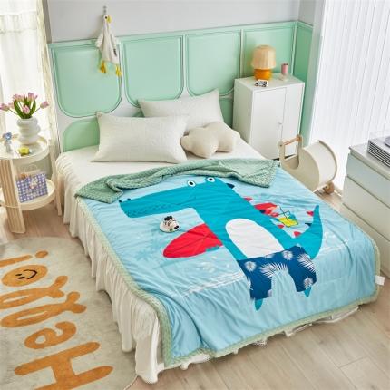 91家纺网 家纺一手货源 找家纺 总 温宁 2022新款大版卡通定位豆豆被夏凉被子春秋四季被芯