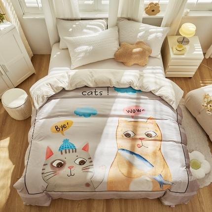 91家纺网 家纺一手货源 找家纺 （总）温宁 2022新款婴儿绒贝贝绒多功能被套毯毛毯子盖毯