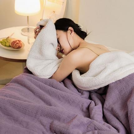 寐眠 2022新款牛奶绒剪花双层毯 贵族紫