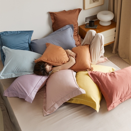 （总）时光里2021新款100支长绒棉贡缎单枕套