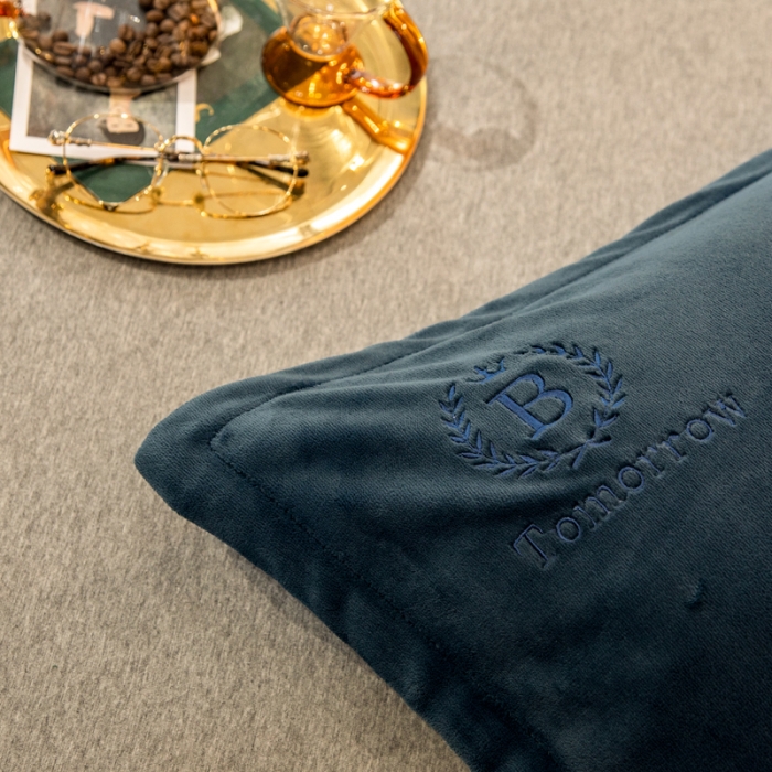 91家纺网 家纺一手货源 找家纺 丽美人 2022新款加厚保暖纯色简约牛奶绒系列单品枕套 孔雀蓝一只