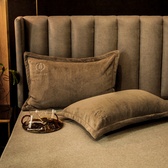 91家纺网 家纺一手货源 找家纺 丽美人 2022新款加厚保暖纯色简约牛奶绒系列单品枕套 香槟金一只