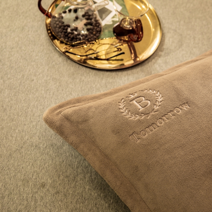 91家纺网 家纺一手货源 找家纺 丽美人 2022新款加厚保暖纯色简约牛奶绒系列单品枕套 香槟金一只