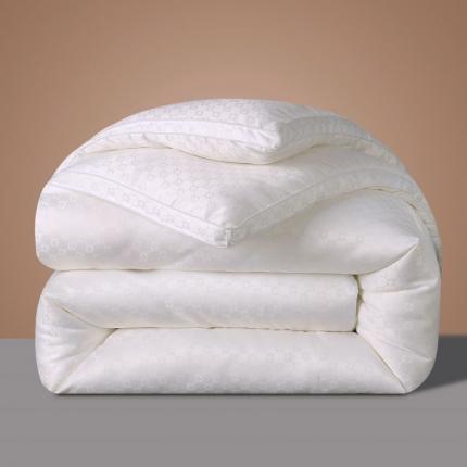 (总) 伊被源 2022新款亲肤磨毛提花冬被被子被芯-四叶草