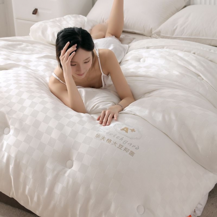 91家纺网 家纺一手货源 找家纺 伊被源 2022抗菌大豆被冬被春秋被被芯被子-华夫格魔方白色