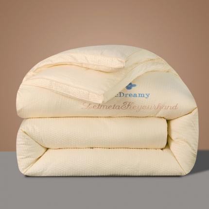 91家纺网 家纺一手货源 找家纺 （总）伊被源 2022新款抗菌立体冬被春秋被被芯被子-华夫泡