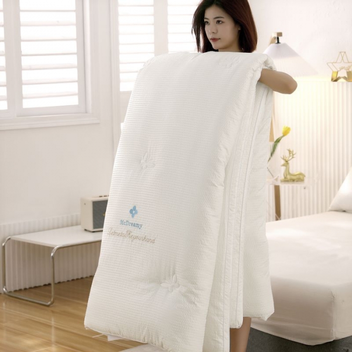 91家纺网 家纺一手货源 找家纺 （总）伊被源 2022新款抗菌立体冬被春秋被被芯被子-华夫泡