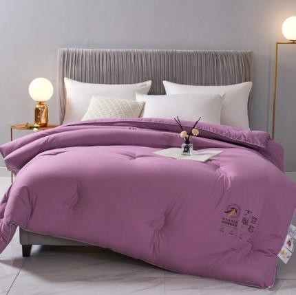 畅畅家纺 2022新款抗菌纤维亲肤大豆被子被子 玫瑰紫