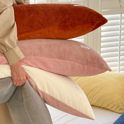 （总）时光里 2022款全消光230克华夫格绒牛奶绒单品枕套