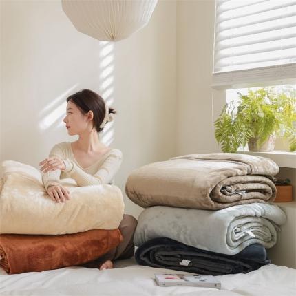 （总）寐眠2022新款法莱绒毛毯