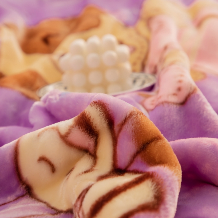 91家纺网 家纺一手货源 找家纺 金奇达 2022新款双层加厚保暖大版卡通拉舍尔毛毯 芭比狗