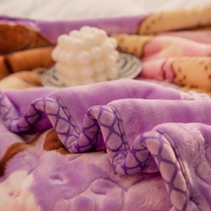 91家纺网 家纺一手货源 找家纺 金奇达 2022新款双层加厚保暖大版卡通拉舍尔毛毯 芭比狗