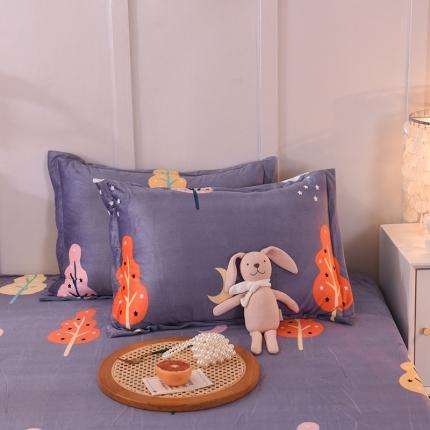 （总）甜之梦 新款水晶绒单品印花枕套48*74/对