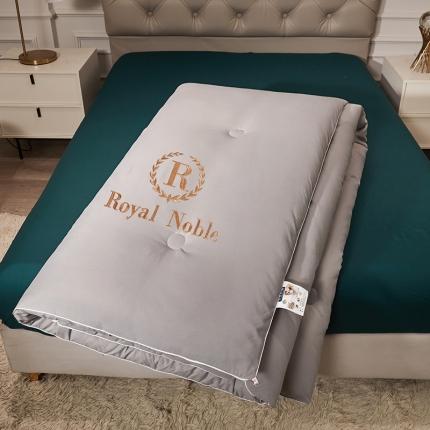 91家纺网 家纺一手货源 找家纺 （总）天瑜家纺 2023洛卡棉冬被秋冬被子丝棉被芯