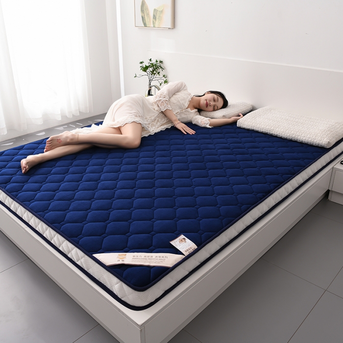 91家纺网 家纺一手货源 找家纺 亿丁点 2023新款牛奶绒乳胶记忆棉双人床垫 大床蓝色