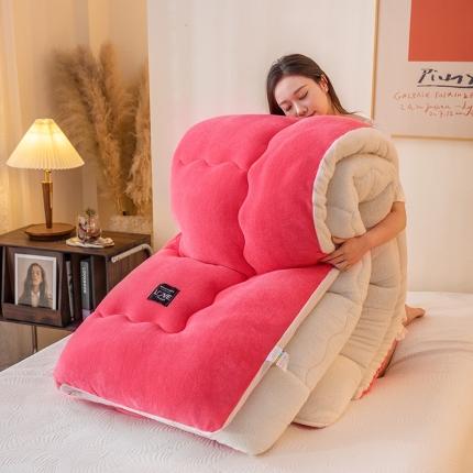 永耀-2022新款直播供货牛奶绒冬被子芯 粉色