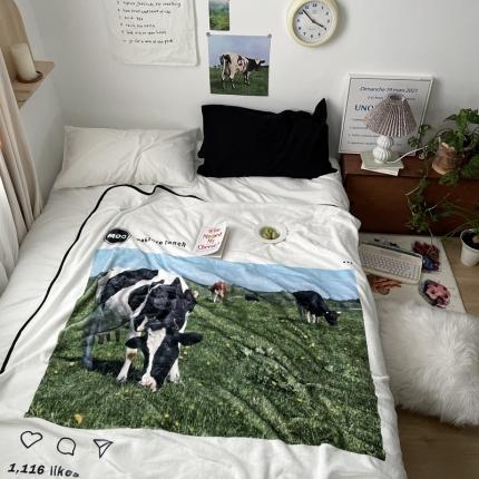 91家纺网 家纺一手货源 找家纺 恋恋三季 2024新款310克设计师专版双面牛奶绒毛毯 丹尼尔早晨