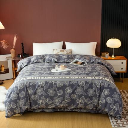 乐视 2024新款加厚高密全棉磨毛被套 宛然