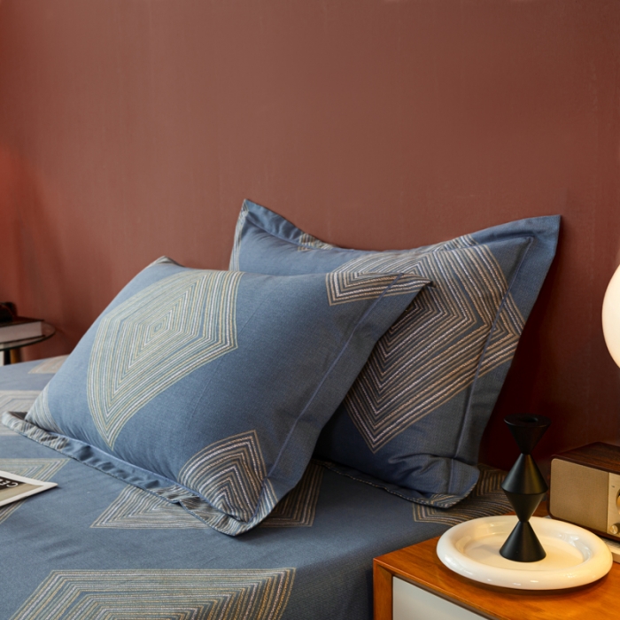 91家纺网 家纺一手货源 找家纺 乐视2024新款加厚高密全棉磨毛枕套 达尔文