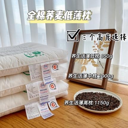 （总）昕科 2022新款全棉荞麦低薄枕枕芯枕头-实拍