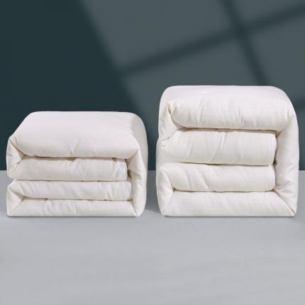 （总）伊被源  2022新款磨毛提花拉链子母被