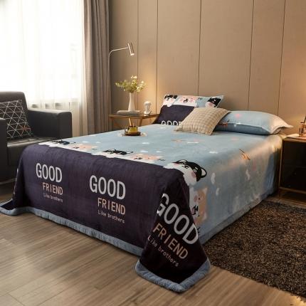 雅萱 2024新款菠萝格牛奶绒包边毛毯 可爱小狗