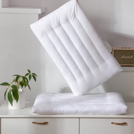 91家纺网 家纺一手货源 找家纺 （总）赛格时代家居 全棉亲肤定型羽丝绒枕芯 儿童枕芯