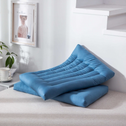 91家纺网 家纺一手货源 找家纺 （总）赛格时代家居 全棉亲肤定型羽丝绒枕芯 儿童枕芯