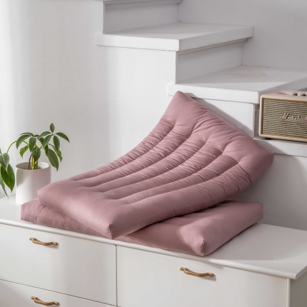 91家纺网 家纺一手货源 找家纺 （总）赛格时代家居 全棉亲肤定型羽丝绒枕芯 儿童枕芯