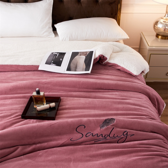 91家纺网 家纺一手货源 找家纺 骏腾家纺 2022新款牛奶绒羊羔绒被套毯系列 羽毛-豆沙