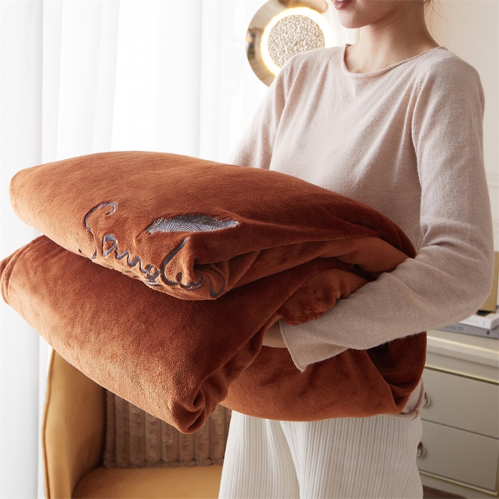 91家纺网 家纺一手货源 找家纺 骏腾家纺 2022新款牛奶绒羊羔绒被套毯系列 羽毛-棕色