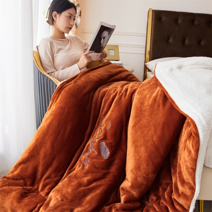 91家纺网 家纺一手货源 找家纺 骏腾家纺 2022新款牛奶绒羊羔绒被套毯系列 羽毛-棕色