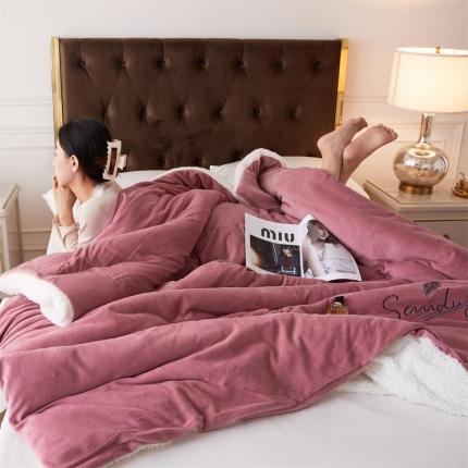 91家纺网 家纺一手货源 找家纺 骏腾家纺 2022新款牛奶绒羊羔绒被套毯系列 羽毛-豆沙