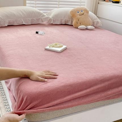 N先生 2023新款纯色牛奶绒单床笠 紫色