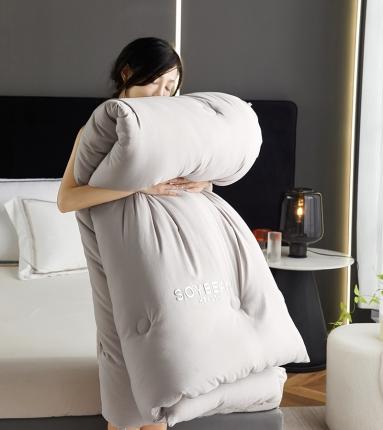 丽卡家纺2023新款豆满满春秋被 豆满满-高级灰