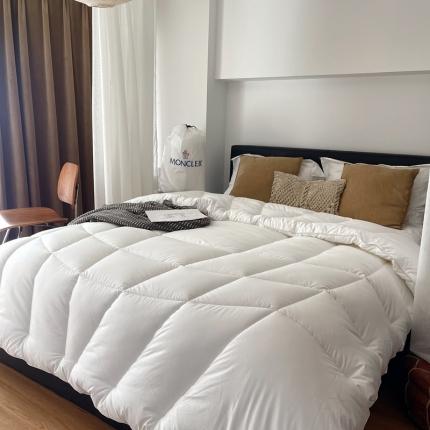 91家纺网 家纺一手货源 找家纺 总 安力森/诚臻酒店用品 酒店2023新款加厚冬被被子被芯 