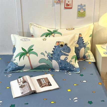 91家纺网 家纺一手货源 找家纺 （总）798 2022爆款13070全棉印花枕套