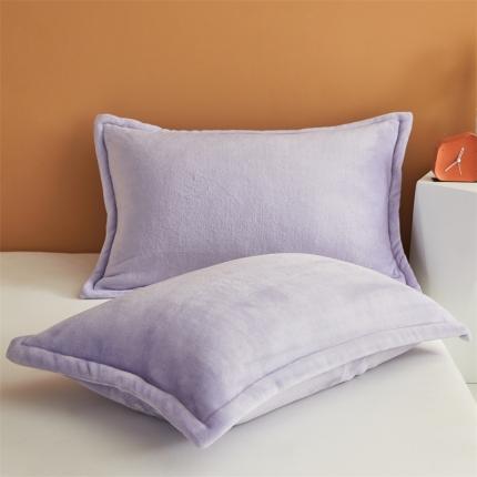 巢卡 2022新款A类高克重牛奶绒学生枕套单品一对优雅紫