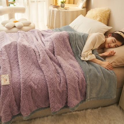 91家纺网 家纺一手货源 找家纺 （总）21度C 2023新款塔复绒+贝贝绒双层复合毯