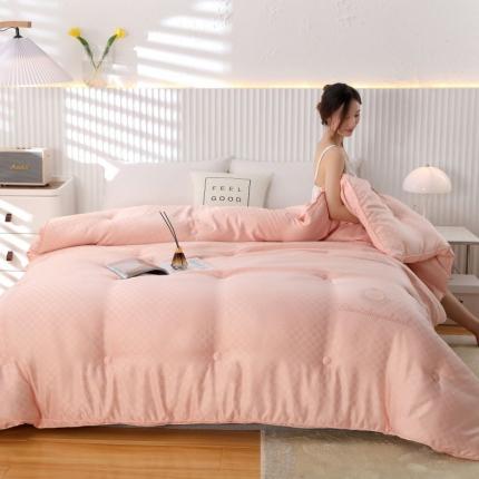 （总）伊被源 2022新款磨毛提花冬被