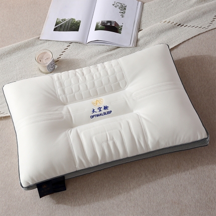 91家纺网 家纺一手货源 找家纺 （总）赛格时代家居 2022爆款云端舒适羽丝绒枕芯