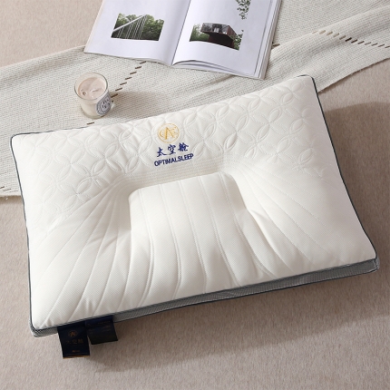 91家纺网 家纺一手货源 找家纺 （总）赛格时代家居 2022爆款云端舒适羽丝绒枕芯