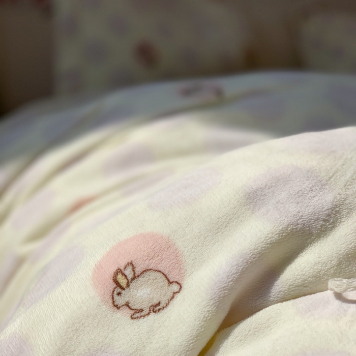 91家纺网 家纺一手货源 找家纺 时年 2022新款全消光牛奶绒印花四件套 萌萌兔