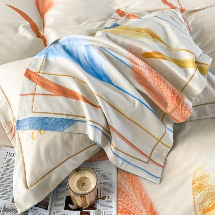 91家纺网 家纺一手货源 找家纺 （总）棉生活 2022年铂金全棉磨毛系列单品枕套一对